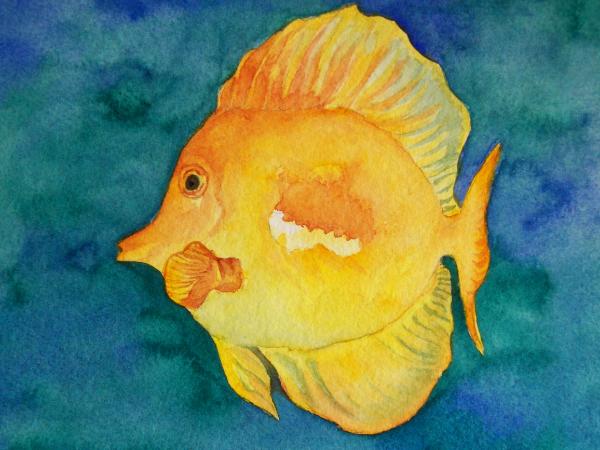 Yellow Tang - Nina Major Watercolor Art & Silk Painting